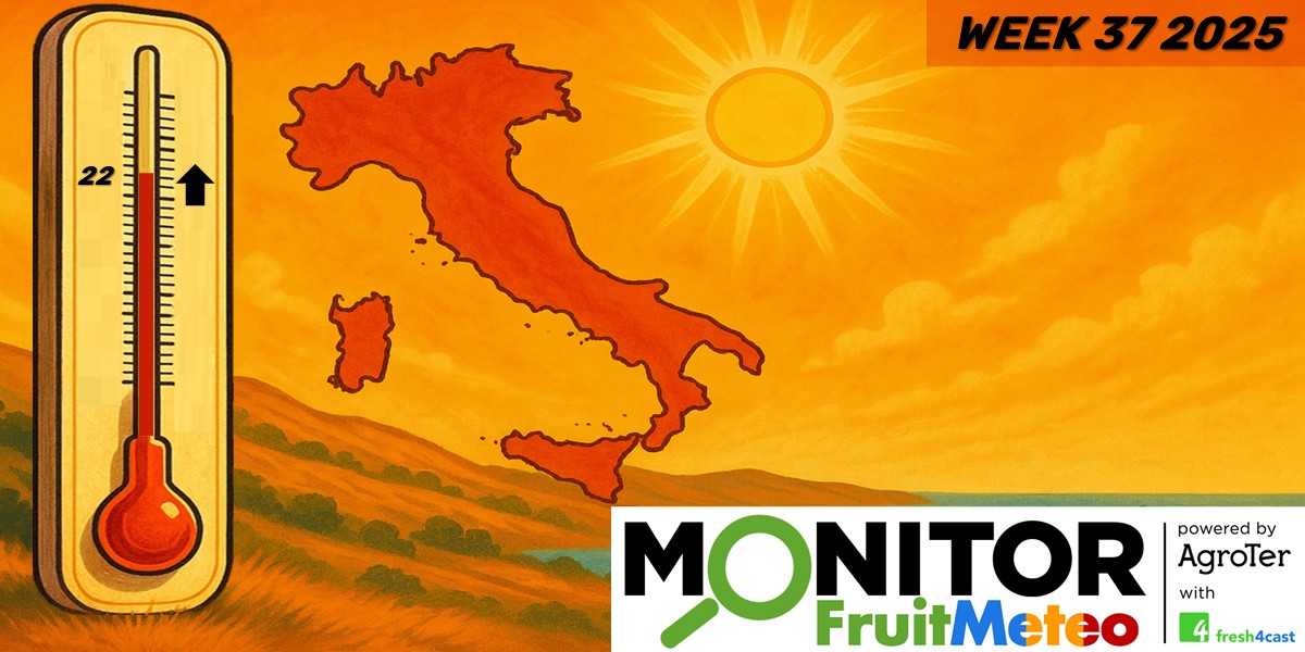 Il caldo non molla la presa, sarà un settembre da frutta estiva?